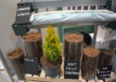 Various substrates from Ceres